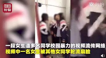 哈尔滨女生爆料事件视频,真相与争议交织的校园风云